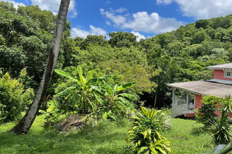  terrain shoelcher 97233