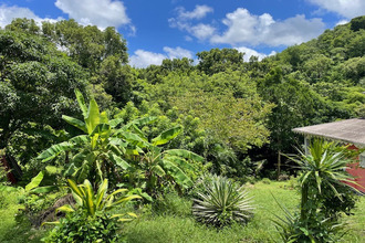  terrain shoelcher 97233