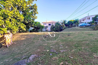  terrain shoelcher 97233