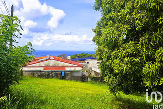  terrain shoelcher 97233