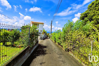  terrain shoelcher 97233