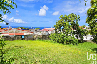  terrain shoelcher 97233