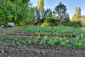  terrain signy-le-petit 08380