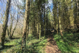  terrain silfiac 56480