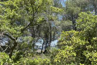  terrain six-fours-les-plages 83140