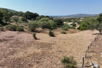  terrain sollacaro 20140