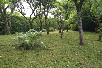  terrain souge-le-ganelon 72130