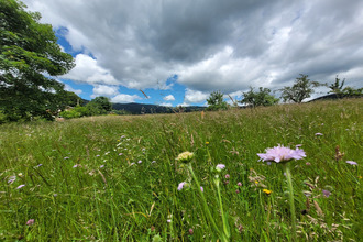  terrain soultzeren 68140