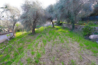  terrain speracedes 06530