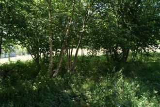  terrain st-andre-d-hebertot 14130