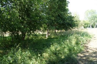  terrain st-andre-d-hebertot 14130