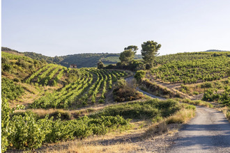  terrain st-andre-de-sangonis 34725