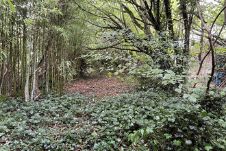  terrain st-andre-sur-sevre 79380