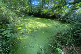  terrain st-andre-treize-voies 85260