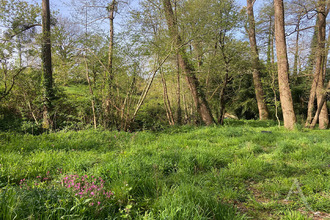  terrain st-andre-treize-voies 85260