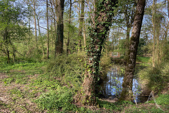  terrain st-andre-treize-voies 85260