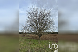  terrain st-antoine-de-breuilh 24230