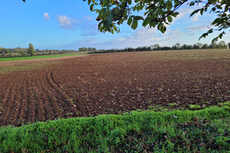  terrain st-aubin-la-plaine 85210