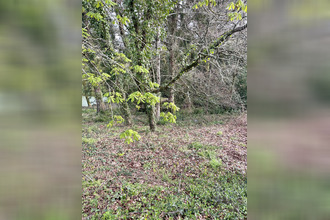  terrain st-ave 56890