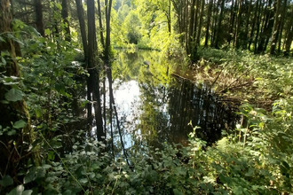  terrain st-bresson 70280