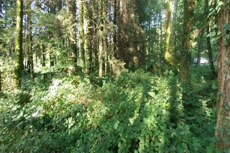  terrain st-bresson 70280