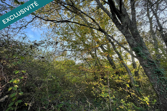  terrain st-chamassy 24260