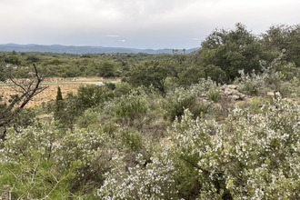  terrain st-chinian 34360