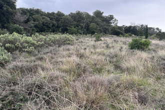  terrain st-chinian 34360