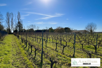  terrain st-ciers-de-canesse 33710