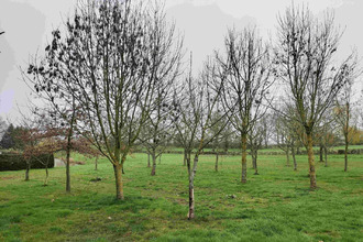  terrain st-cyr-en-pail 53140