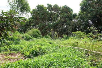  terrain st-denis 97417