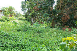  terrain st-denis 97417