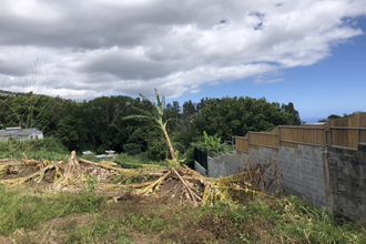  terrain st-denis 97490