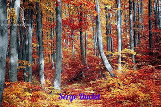  terrain st-denis-en-margeride 48700