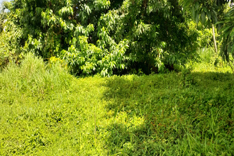  terrain st-esprit 97270