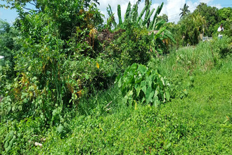  terrain st-esprit 97270