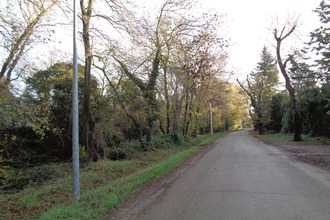  terrain st-etienne-du-gres 13103