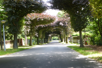  terrain st-fargeau-ponthierry 77310