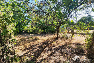  terrain st-florent-le-vieil 49620