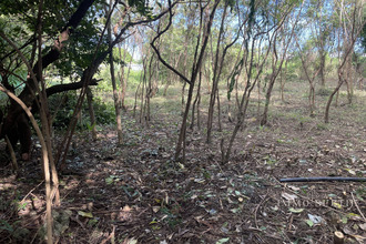  terrain st-francois 97118