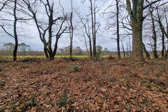  terrain st-geours-de-maremne 40230