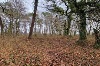  terrain st-geours-de-maremne 40230