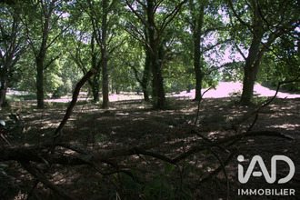  terrain st-geours-de-maremne 40230