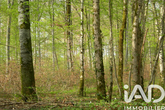  terrain st-germain-de-grave 33490