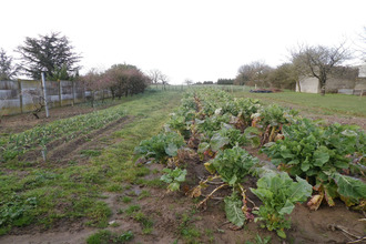  terrain st-germain-sur-moine 49230