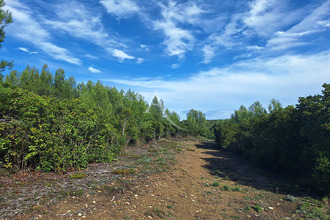  terrain st-gervasy 30320