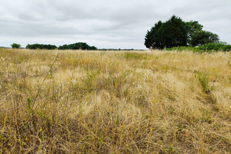  terrain st-hilaire-du-bois 17500