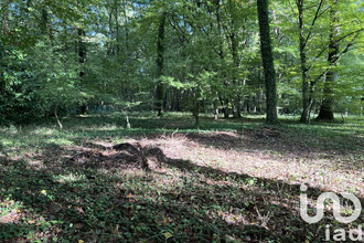  terrain st-hilaire-les-andresis 45320