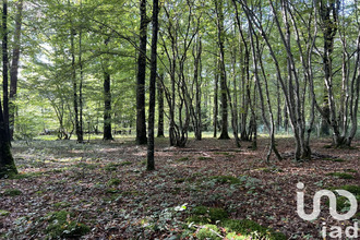  terrain st-hilaire-les-andresis 45320