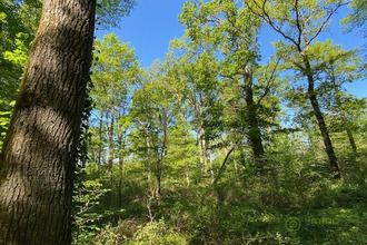  terrain st-hilaire-les-andresis 45320